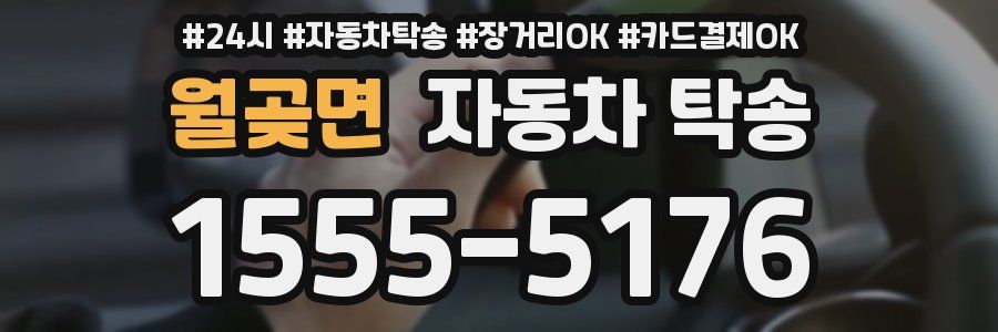 월곶면 자동차 탁송