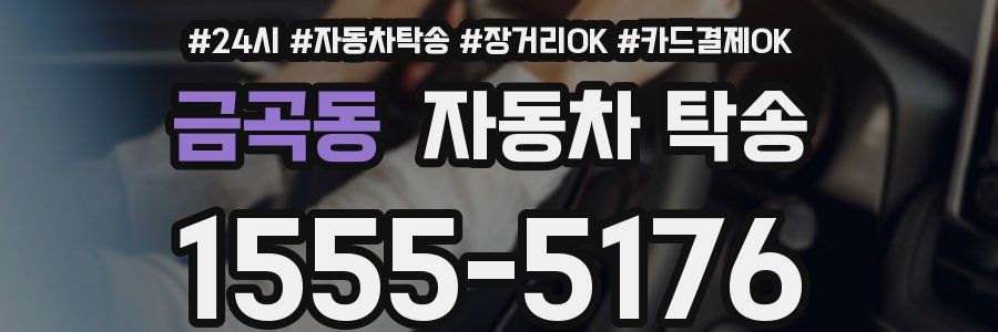 금곡동 자동차 탁송