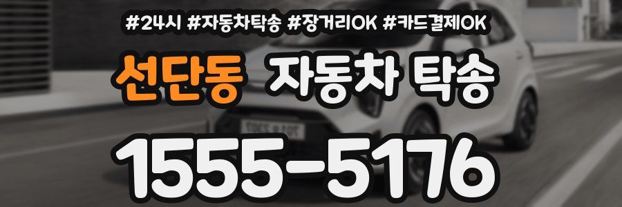 선단동 자동차 탁송