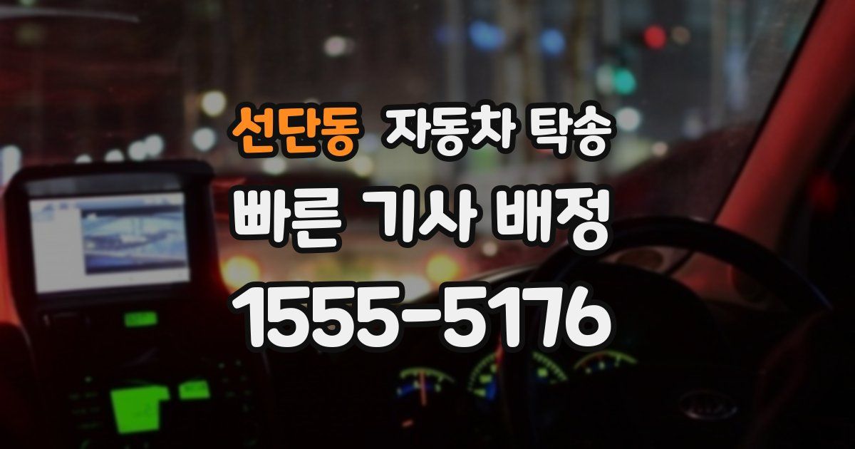 선단동 자동차 탁송