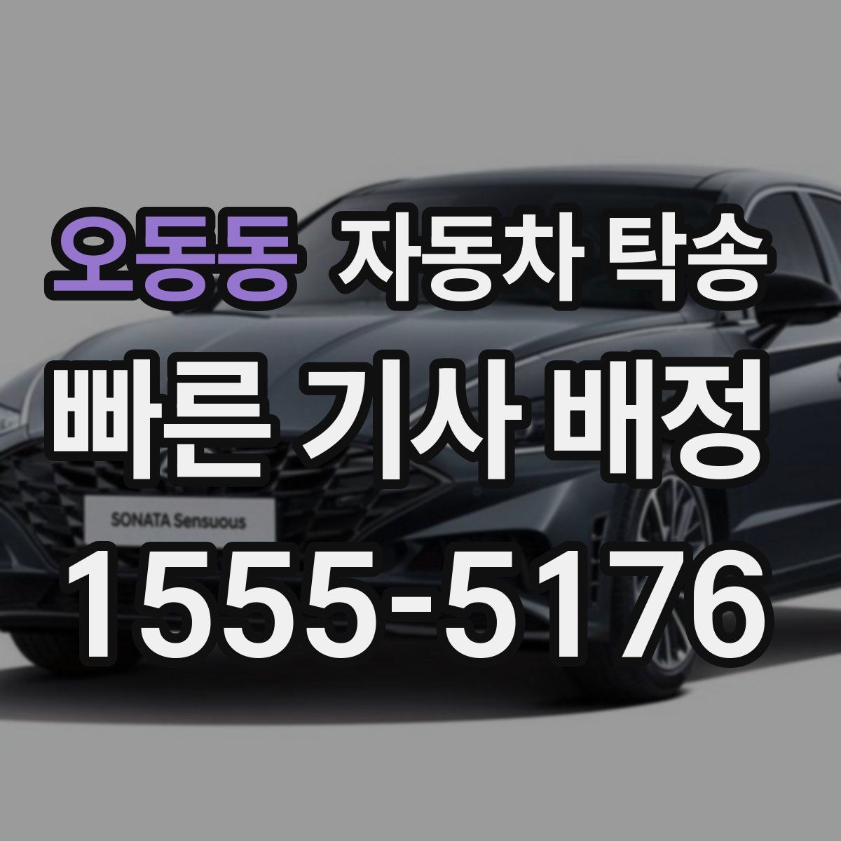 오동동 자동차 탁송