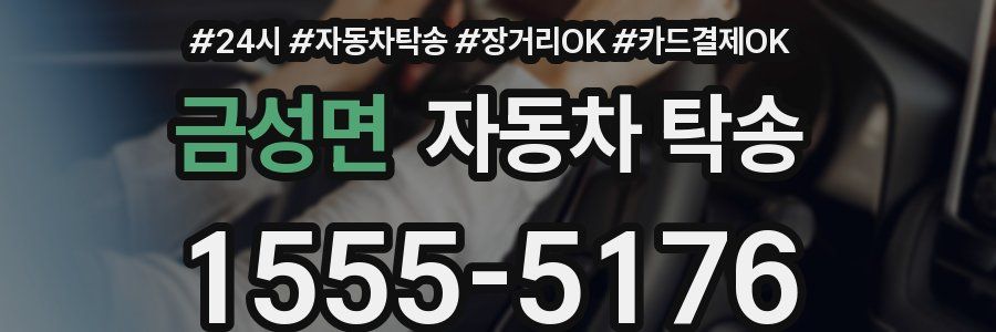 금성면 자동차 탁송