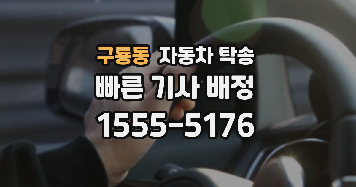 구룡동 자동차 탁송