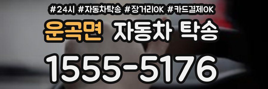 운곡면 자동차 탁송