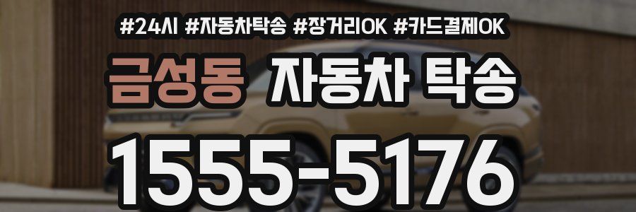 금성동 자동차 탁송