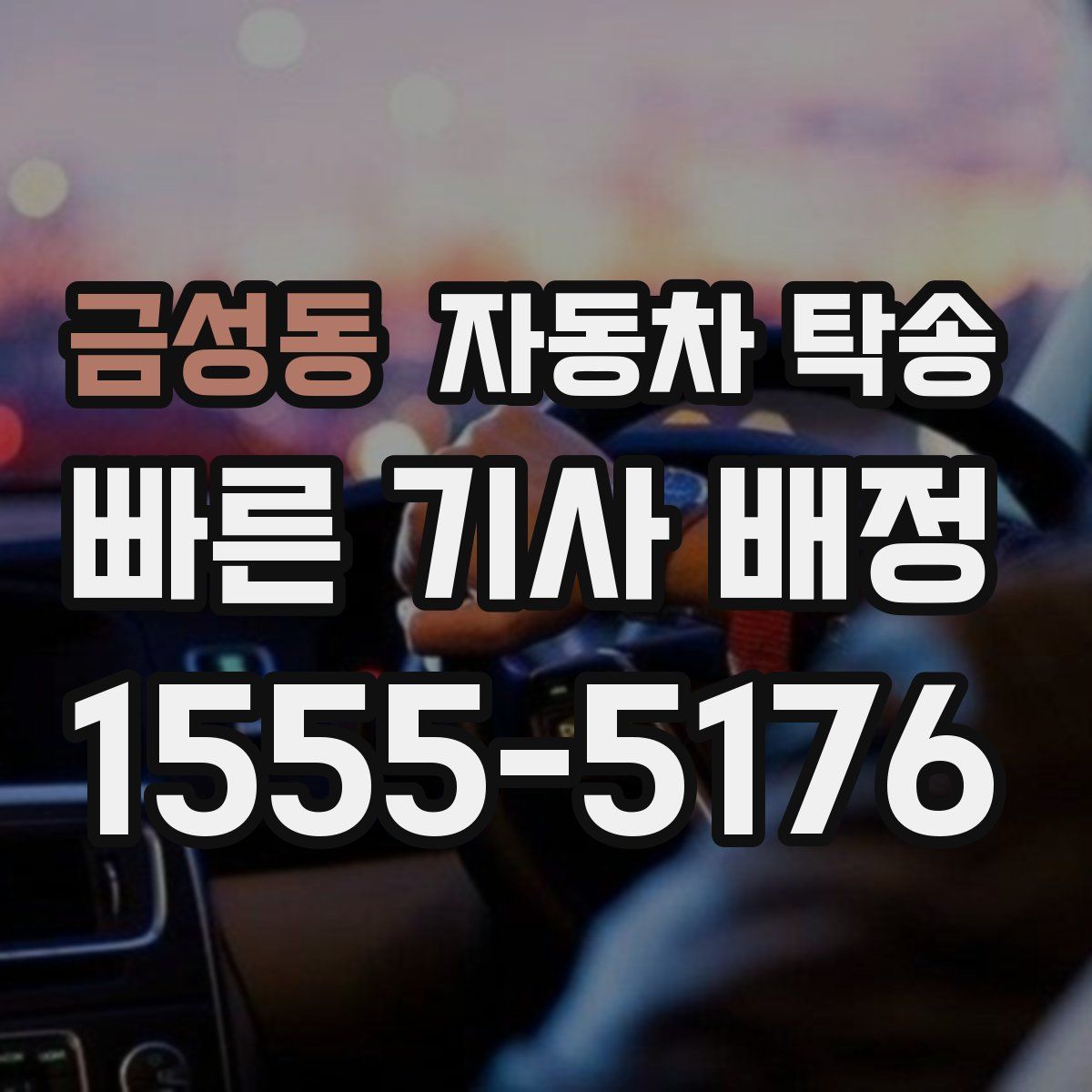 금성동 자동차 탁송