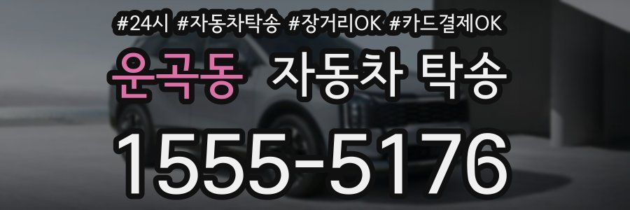 운곡동 자동차 탁송