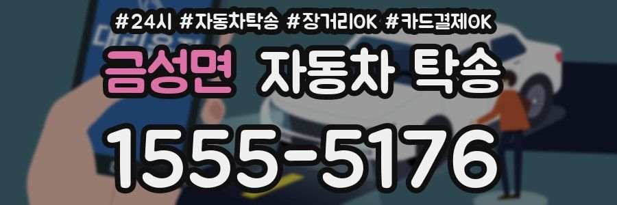 금성면 자동차 탁송