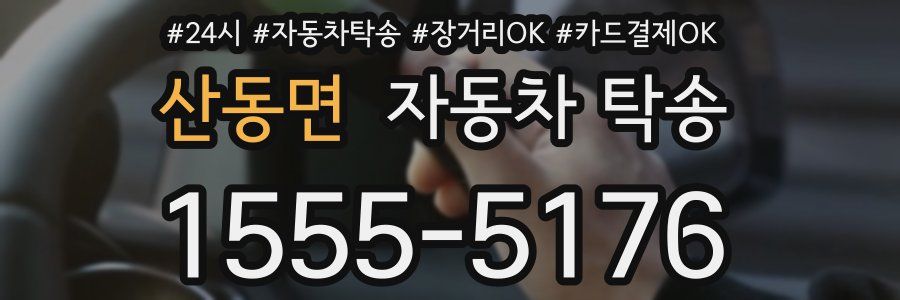 산동면 자동차 탁송