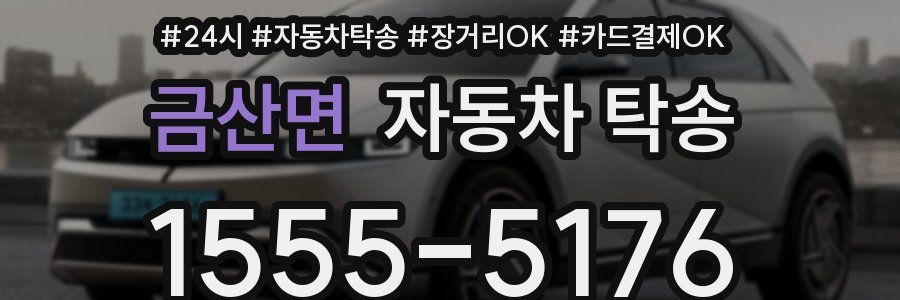 금산면 자동차 탁송