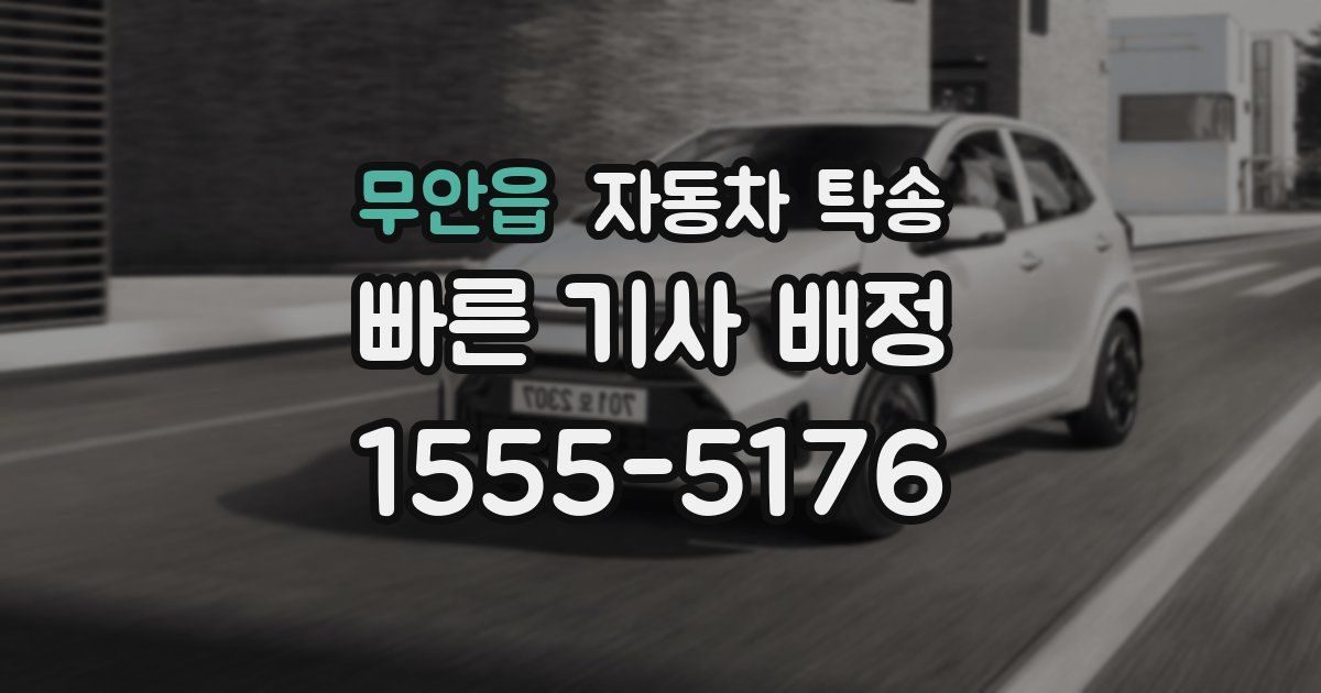 무안읍 자동차 탁송