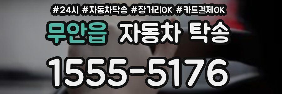 무안읍 자동차 탁송