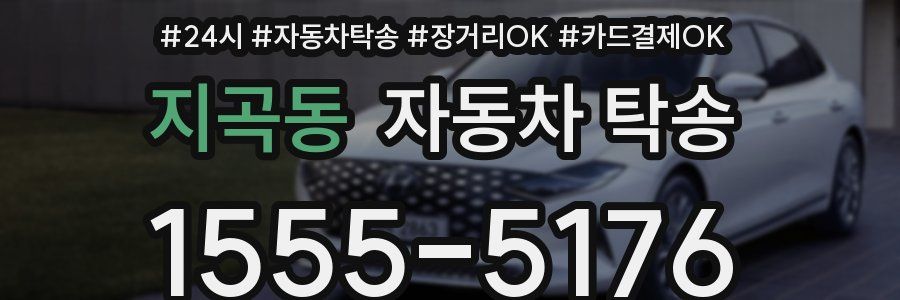 지곡동 자동차 탁송