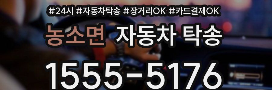 농소면 자동차 탁송