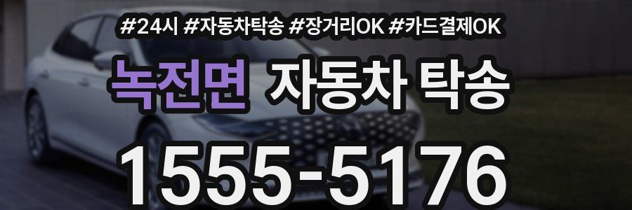 녹전면 자동차 탁송