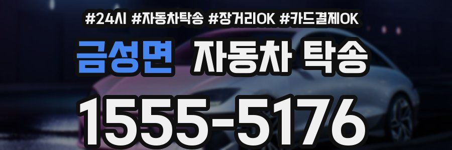 금성면 자동차 탁송