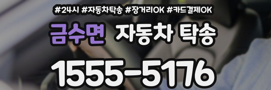 금수면 자동차 탁송