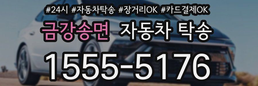 금강송면 자동차 탁송