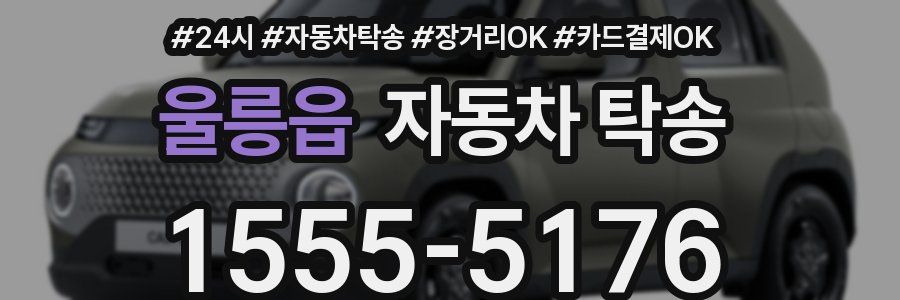 울릉읍 자동차 탁송