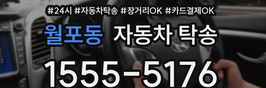 월포동 자동차 탁송