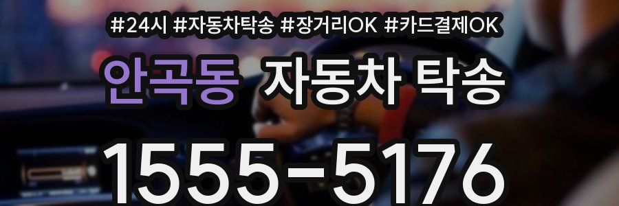 안곡동 자동차 탁송