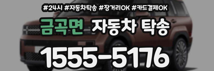금곡면 자동차 탁송