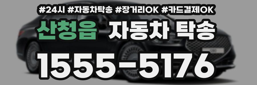 산청읍 자동차 탁송