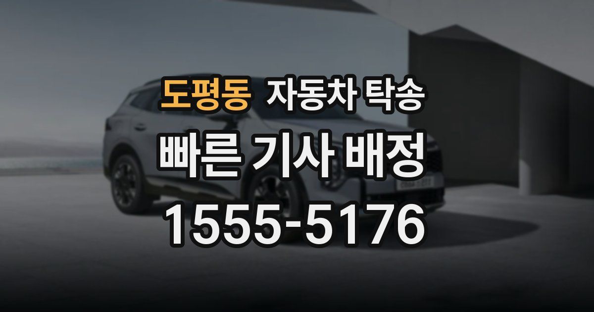 도평동 자동차 탁송