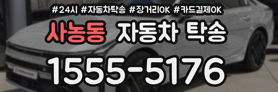 사농동 자동차 탁송