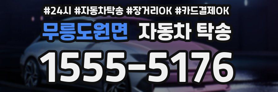 무릉도원면 자동차 탁송