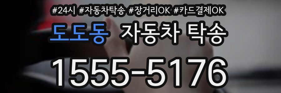 도도동 자동차 탁송