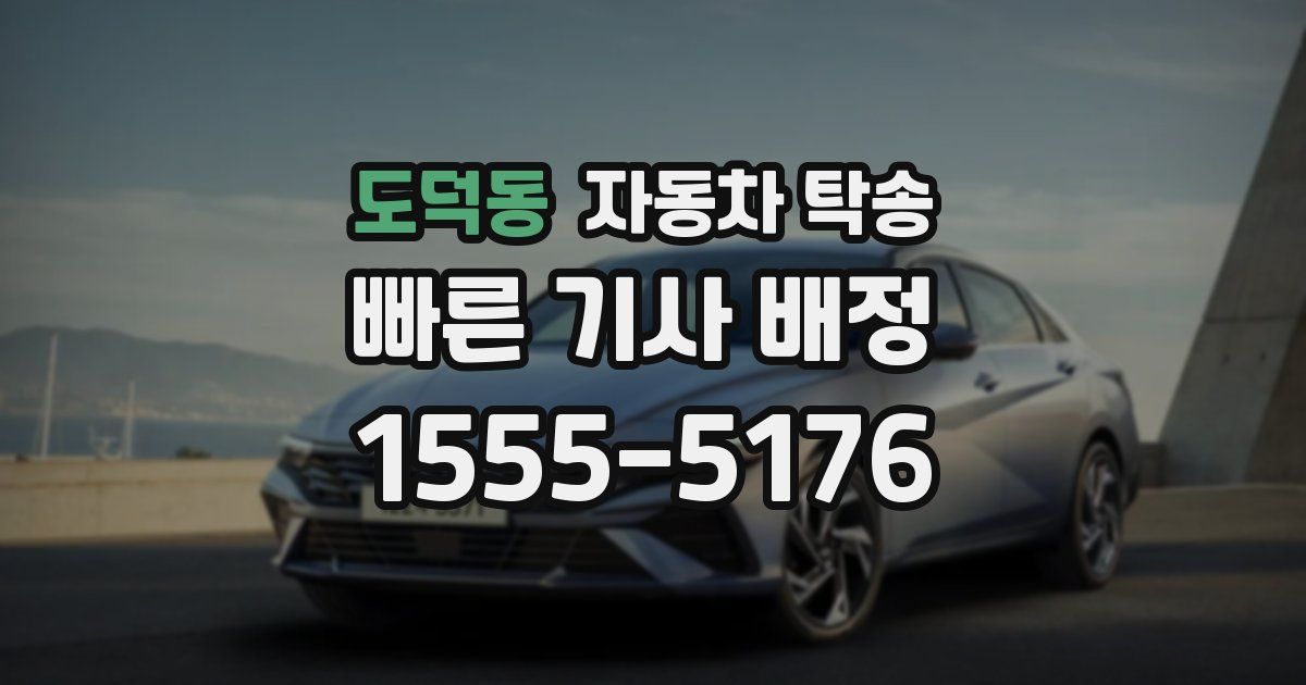 도덕동 자동차 탁송