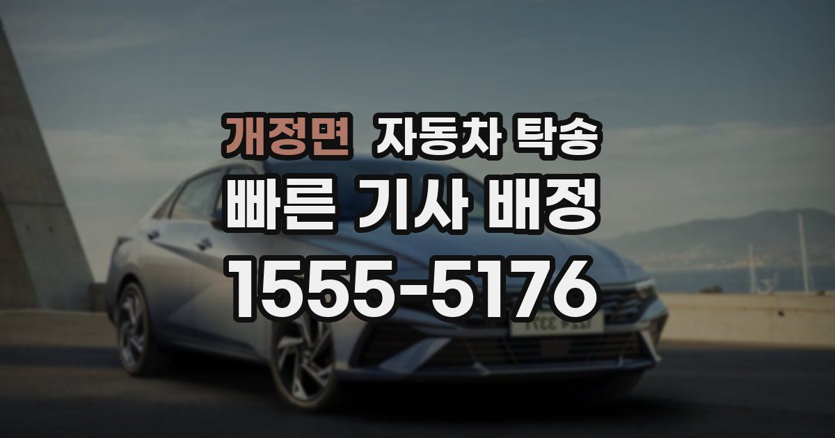 개정면 자동차 탁송