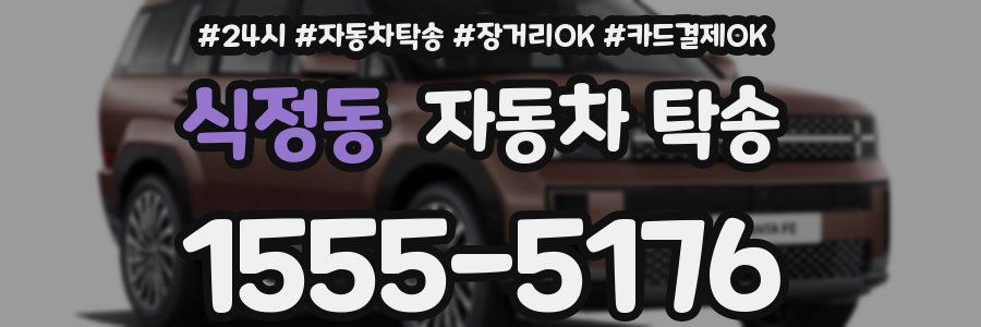 식정동 자동차 탁송