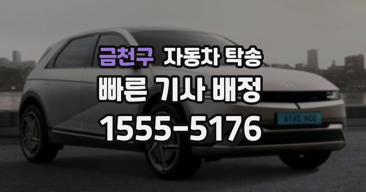 금천구 자동차 탁송