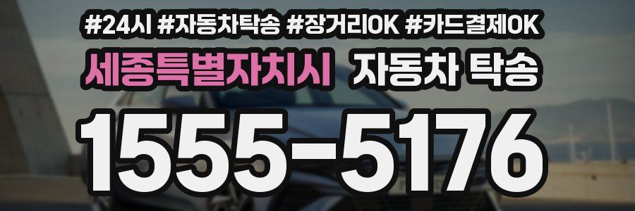 세종특별자치시 자동차 탁송