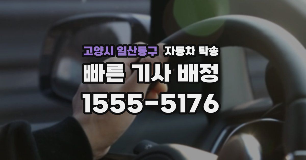 고양시 일산동구 자동차 탁송