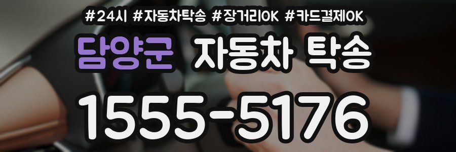 담양군 자동차 탁송