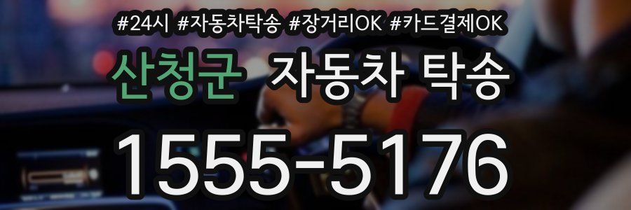 산청군 자동차 탁송