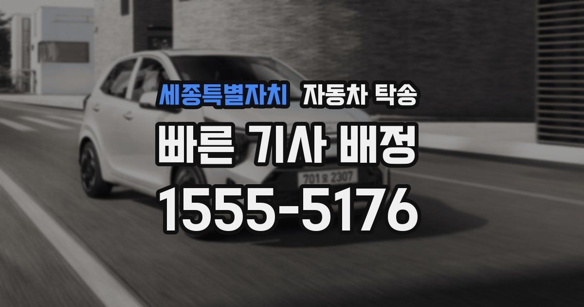 세종특별자치 자동차 탁송