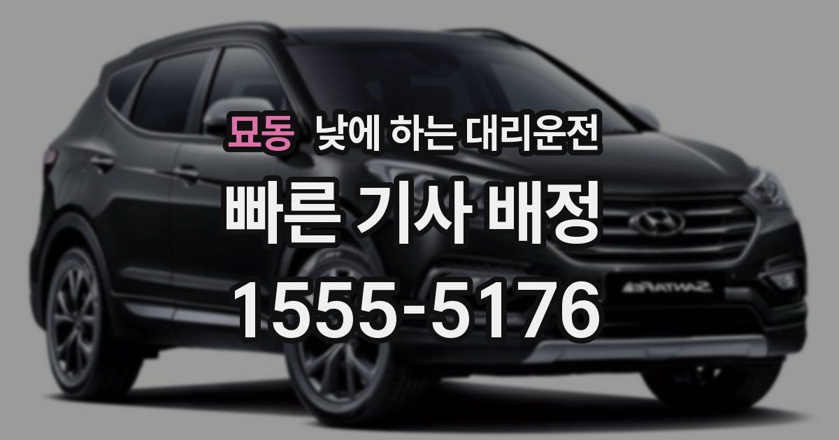 묘동 낮에 하는 대리운전