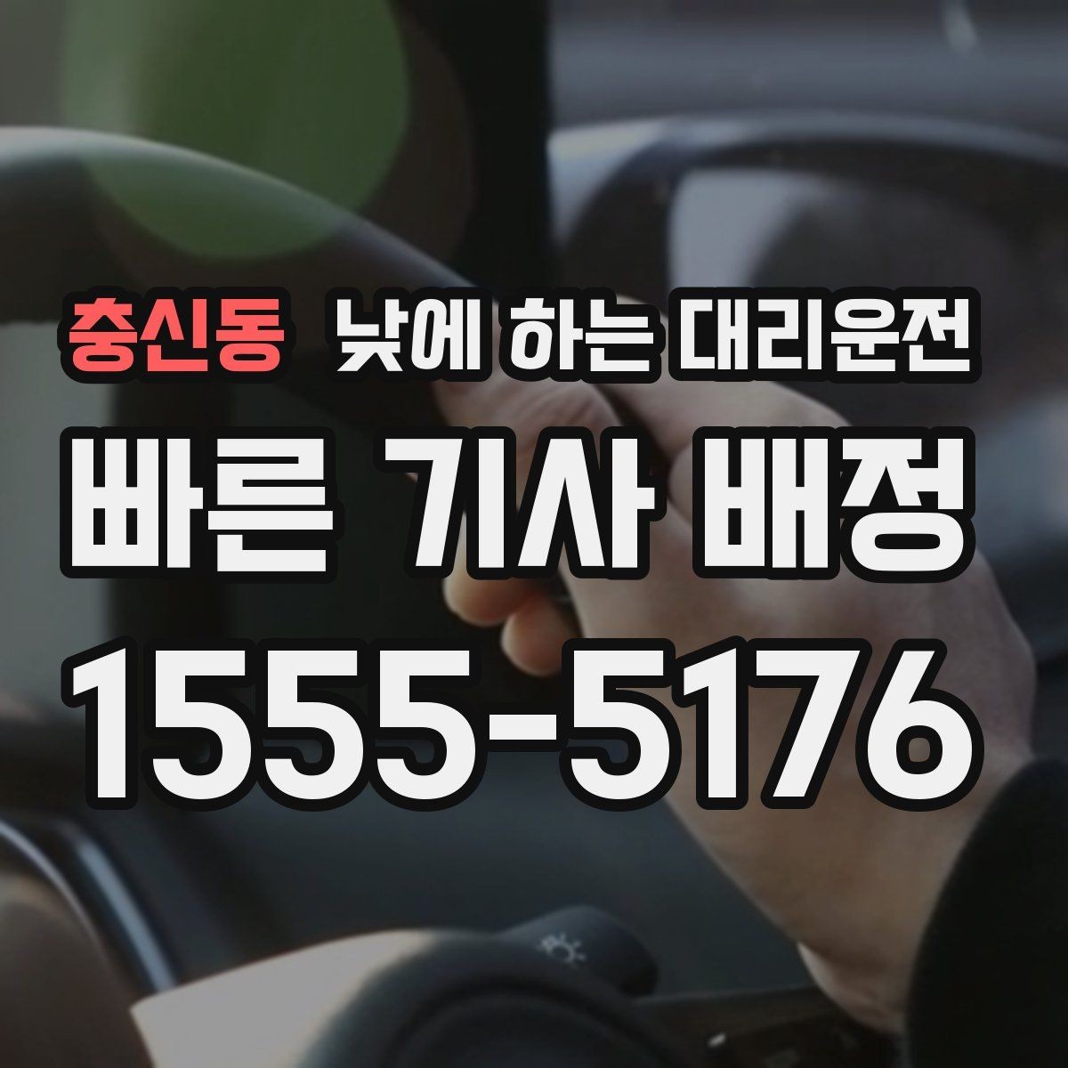 충신동 낮에 하는 대리운전 반려동물 동승이 있을 때 미리 안내하기