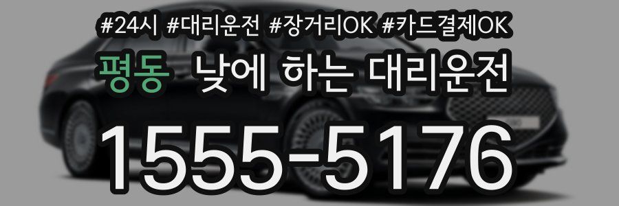 평동 낮에 하는 대리운전