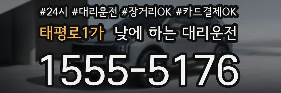태평로1가 낮에 하는 대리운전