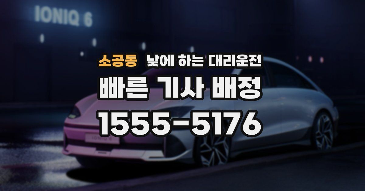 소공동 낮에 하는 대리운전