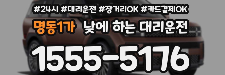 명동1가 낮에 하는 대리운전