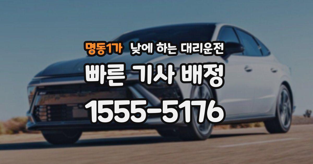명동1가 낮에 하는 대리운전