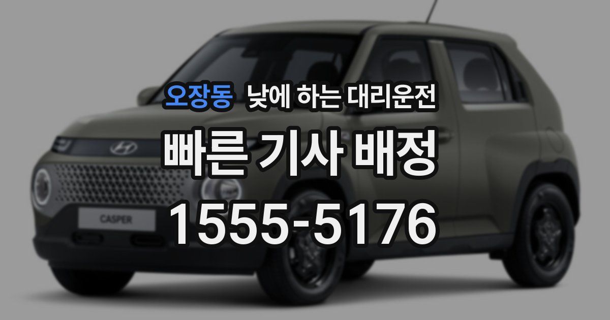 오장동 낮에 하는 대리운전