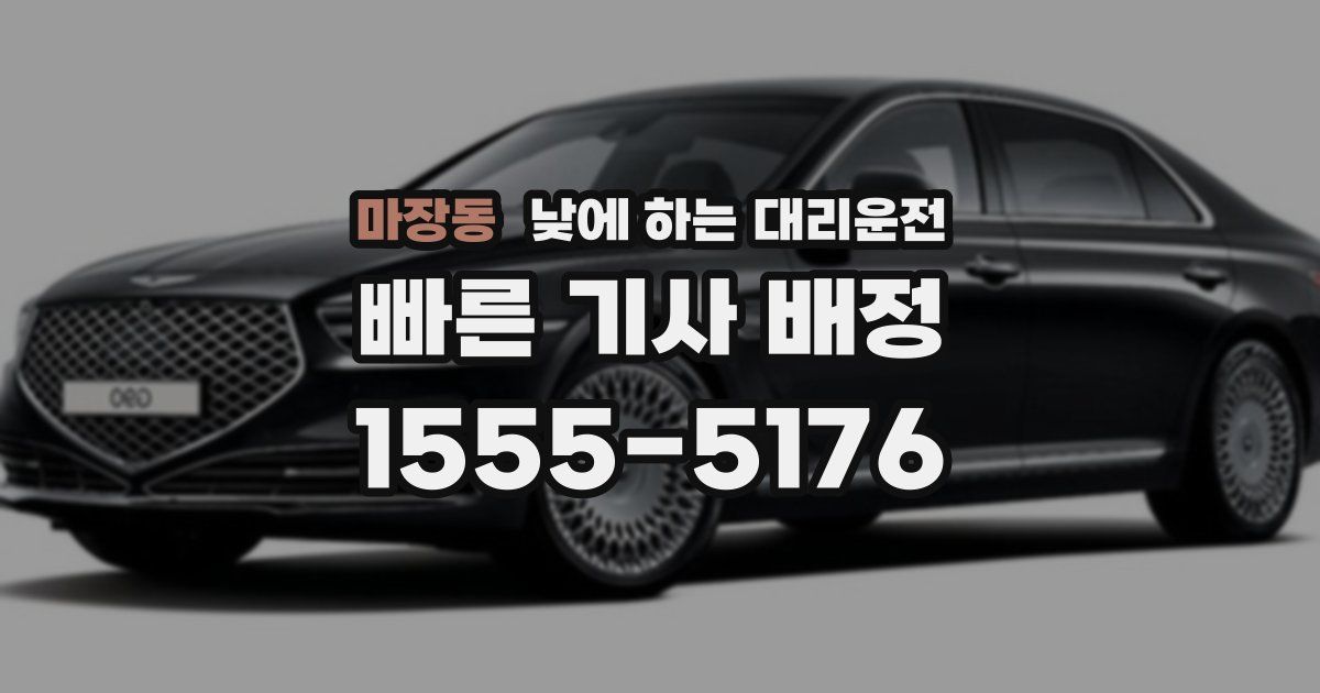 마장동 낮에 하는 대리운전