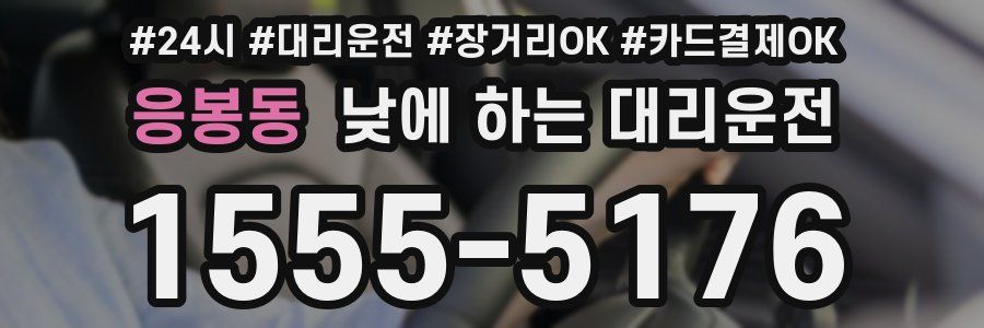 응봉동 낮에 하는 대리운전
